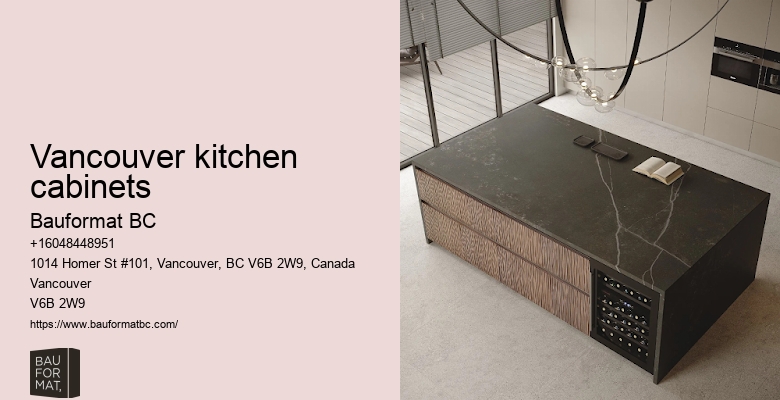 German luxury kitchen cabinet solutions Vancouver