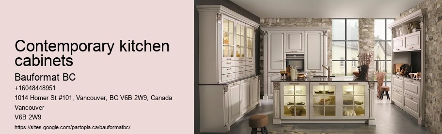 Contemporary kitchen cabinets