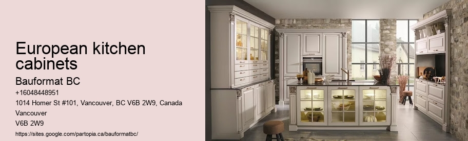 European kitchen cabinets