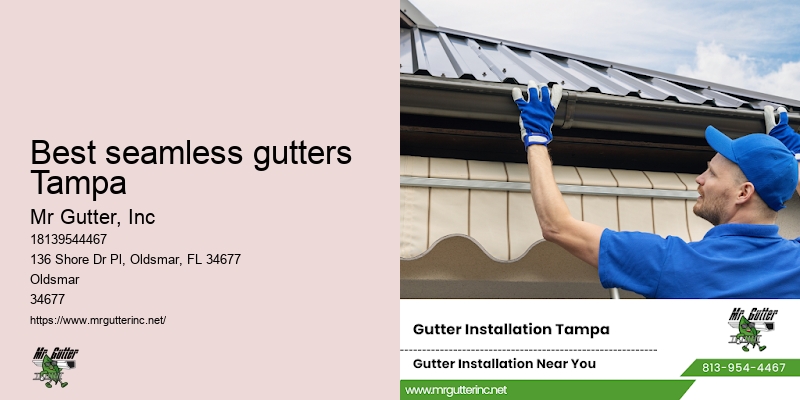 Gutter cleaning specialists Best seamless gutters Tampa