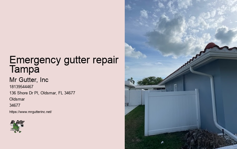 Gutter cover installation Emergency gutter repair Tampa