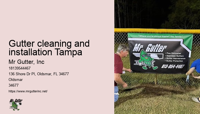 Gutter cleaning and installation Tampa seamless gutter contractors