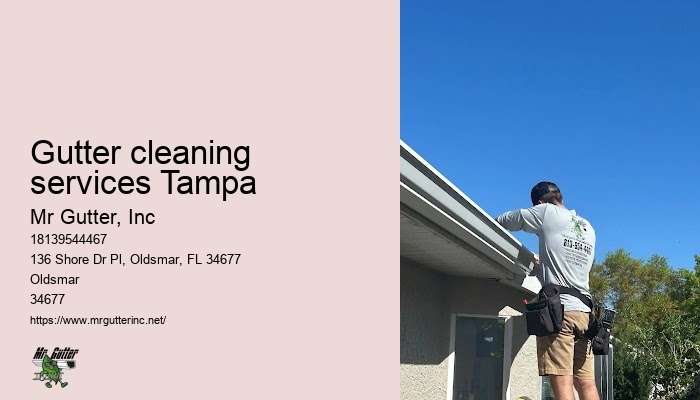 Reliable rain gutter installers Gutter cleaning services Tampa