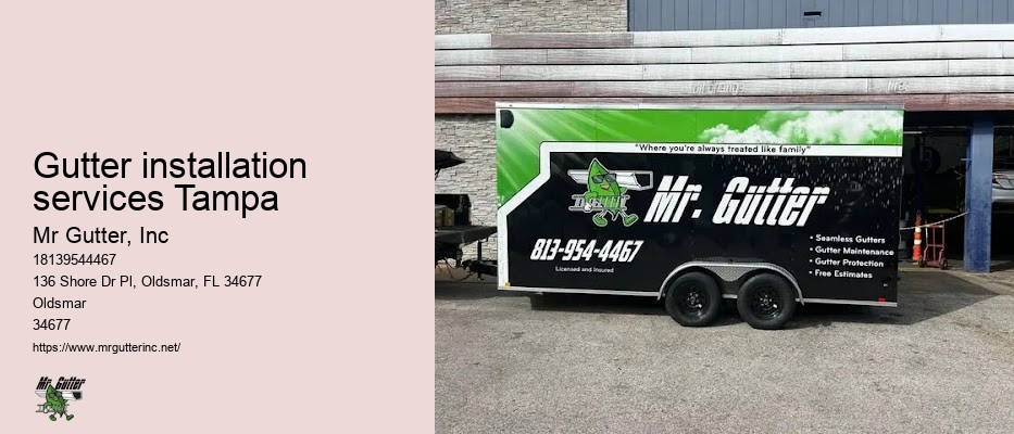 Gutter installation services Tampa