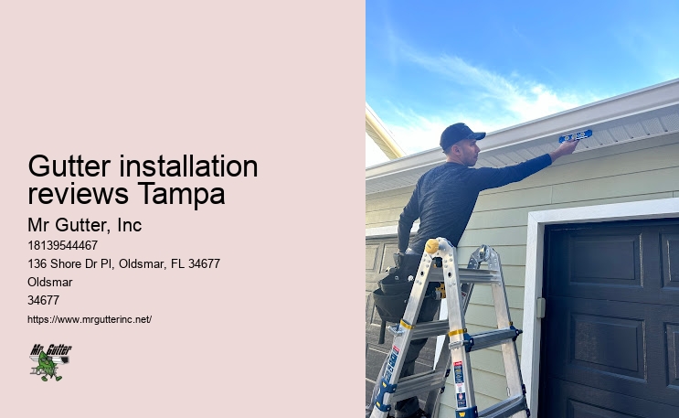 Gutter downspout repair Gutter installation reviews Tampa