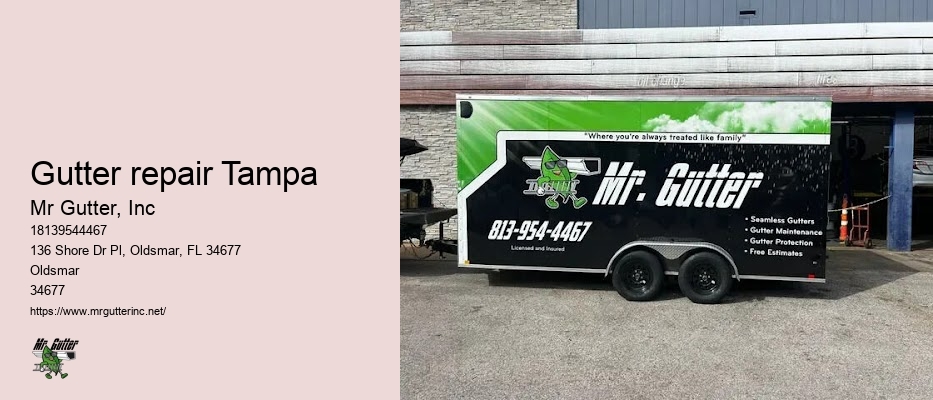 Gutter covers installation Gutter repair Tampa