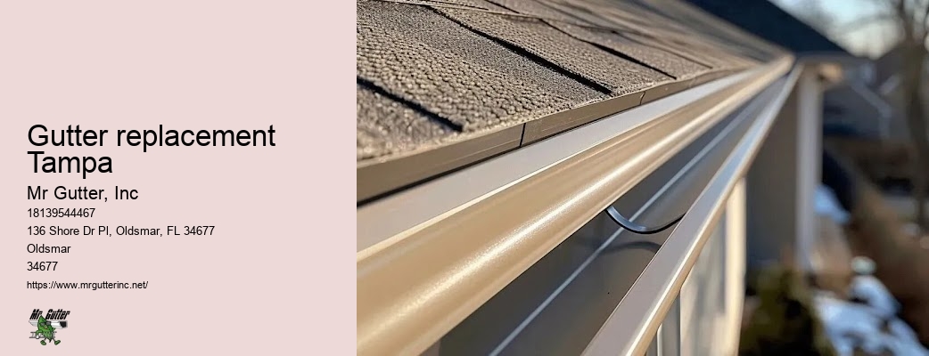 Affordable gutter services Gutter replacement Tampa