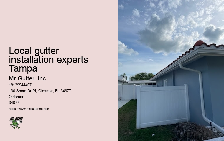 Local gutter installation experts Tampa leaf guard installation