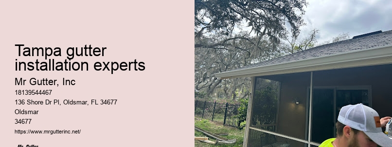 Gutter cleaning services Tampa gutter installation experts