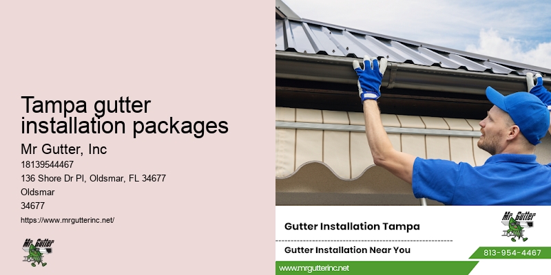 Gutter installation options Tampa gutter installation packages