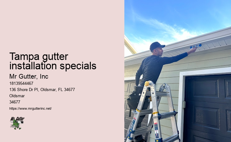 Tampa gutter installation specials seamless gutter installers