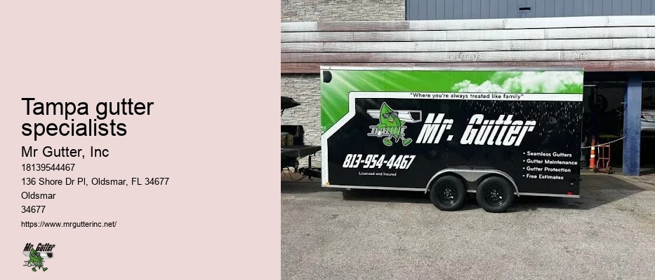Tampa gutter specialists