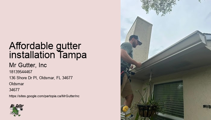 Gutter cleaning services Affordable gutter installation Tampa