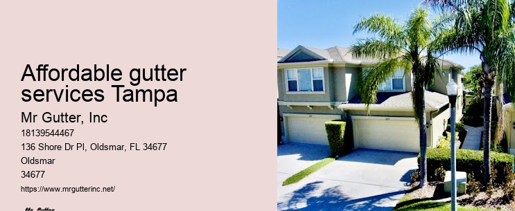Affordable gutter services Tampa gutter protection