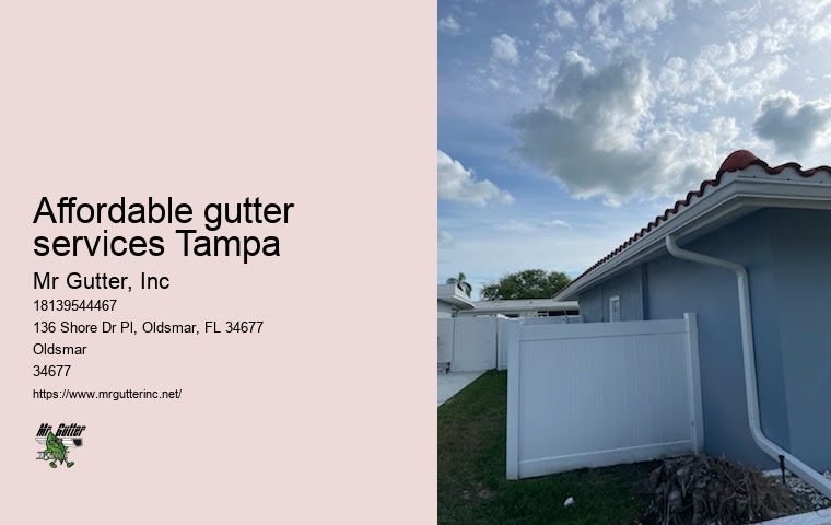 Gutter inspection Affordable gutter services Tampa