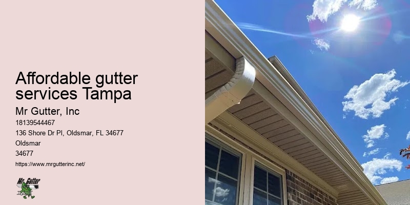 Affordable gutter services Tampa gutter contractors