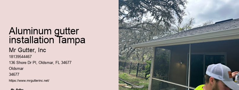 Aluminum gutter installation Tampa gutter inspection
