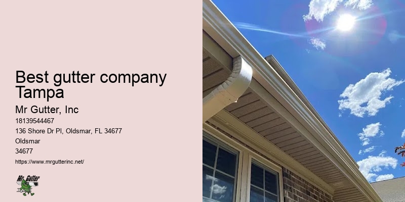 Licensed gutter installers Best gutter company Tampa