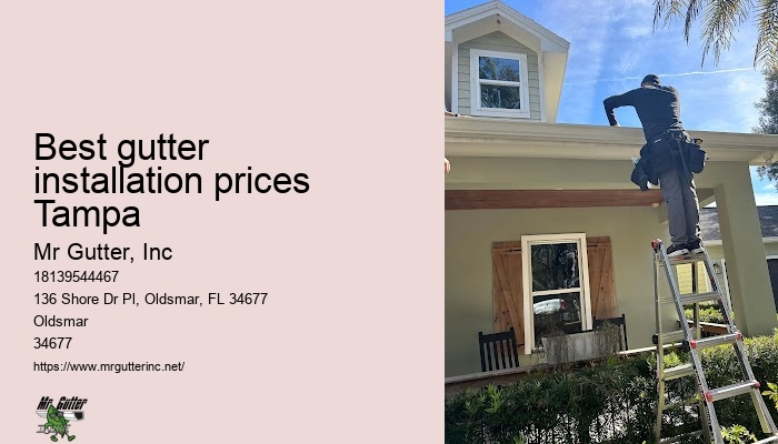 Best gutter installation prices Tampa gutter installation consultation