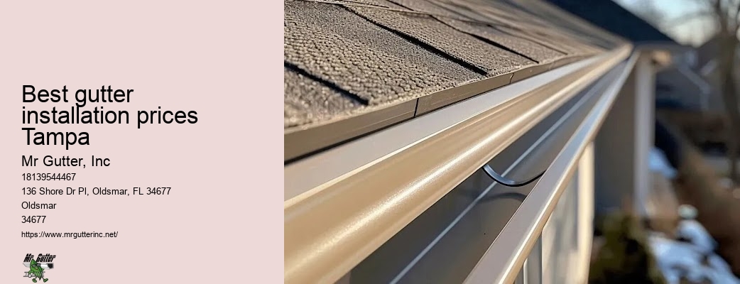 Best gutter installation prices Tampa gutter installation tips