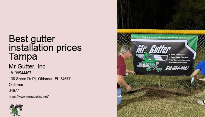 Rain gutter replacement Best gutter installation prices Tampa