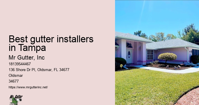 Reliable gutter systems Best gutter installers in Tampa