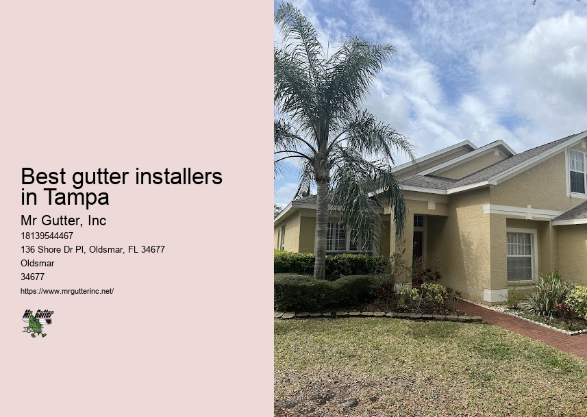 Top-rated gutter contractors Best gutter installers in Tampa