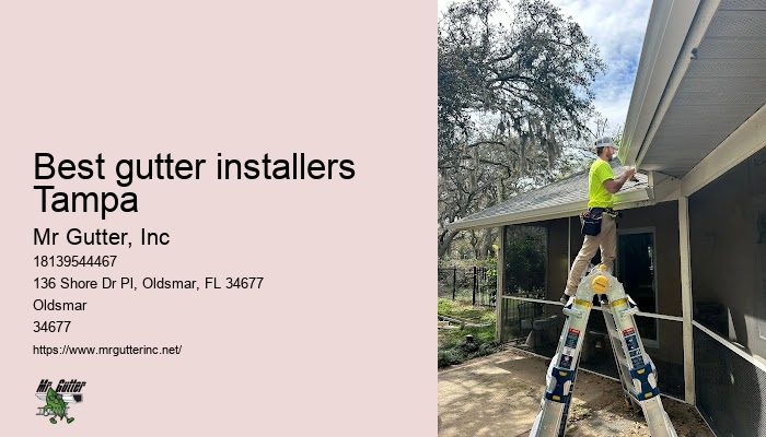 Custom gutter installation Best gutter installers Tampa