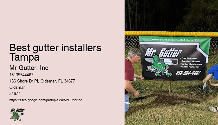 Gutter repair Best gutter installers Tampa