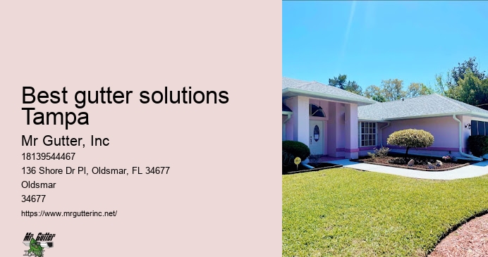 Best gutter solutions Tampa gutter system installation