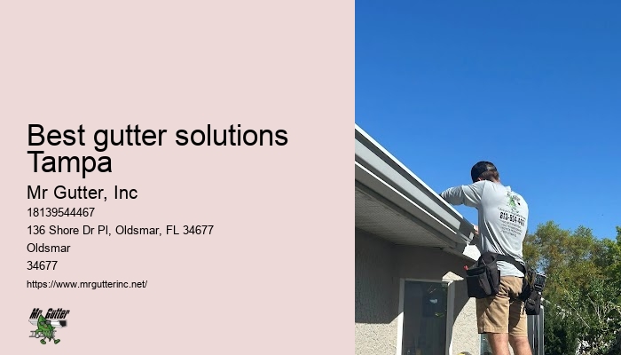 Local gutter services Best gutter solutions Tampa