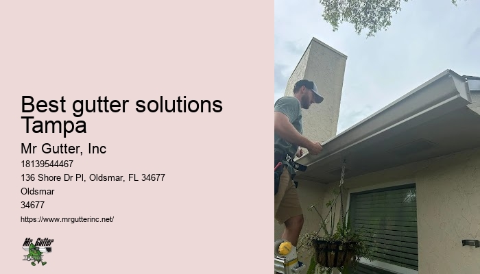 Professional gutter services Best gutter solutions Tampa