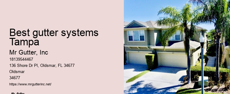 Local gutter repair Best gutter systems Tampa