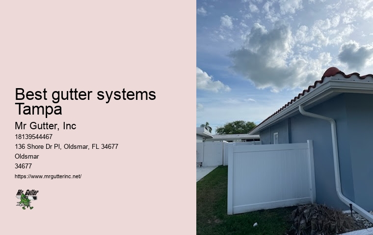 Best gutter systems Tampa gutter repair near me