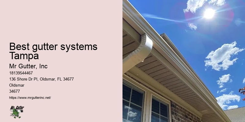 Top-rated gutter replacement Best gutter systems Tampa