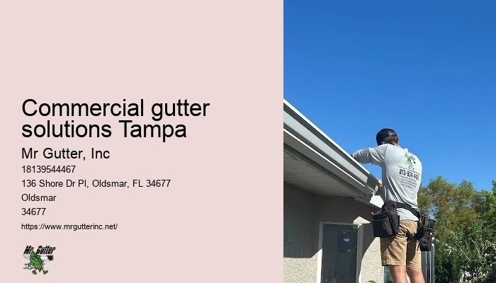 Commercial gutter solutions Tampa leaf guard installation