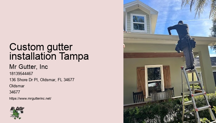 Custom gutter installation Tampa gutter repair experts