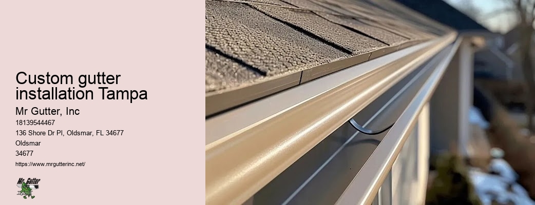 Residential gutter systems Custom gutter installation Tampa