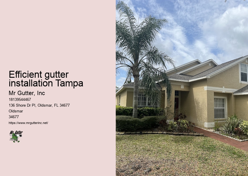 Rain gutter installation Efficient gutter installation Tampa