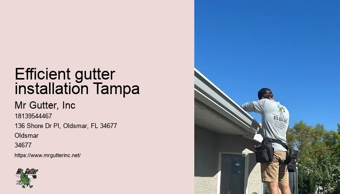 Gutter replacement Efficient gutter installation Tampa