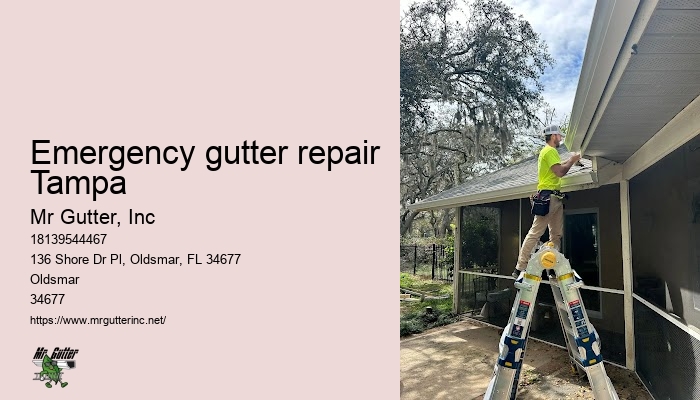 Heavy duty gutter installation Emergency gutter repair Tampa