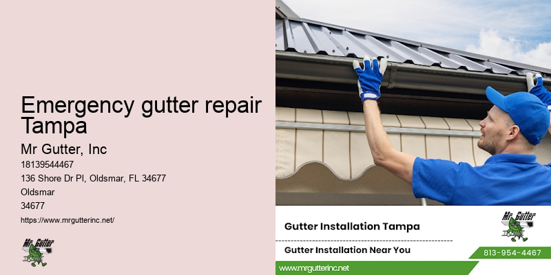 Gutter installation scheduling Emergency gutter repair Tampa