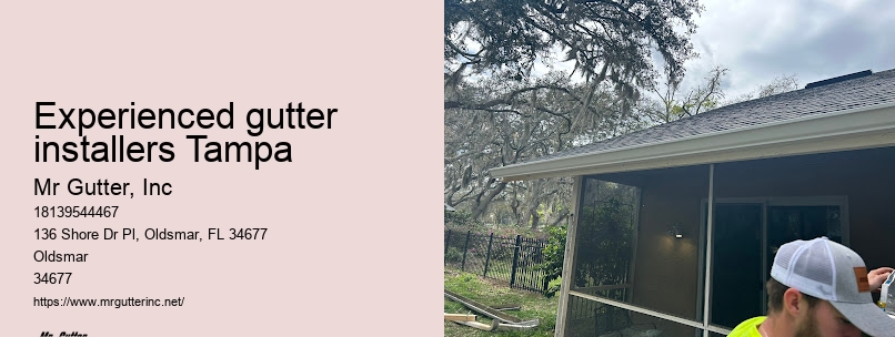 Functional gutter installation Experienced gutter installers Tampa