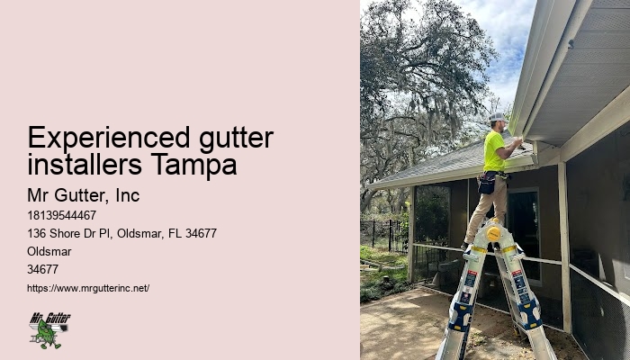Effective gutter installation Experienced gutter installers Tampa