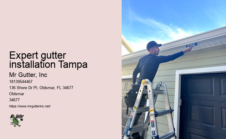 Best gutter installers Expert gutter installation Tampa