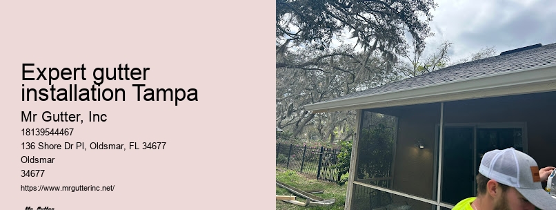 Affordable gutter installation Expert gutter installation Tampa