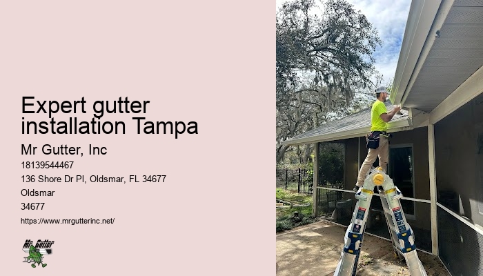 Professional gutter installation Expert gutter installation Tampa