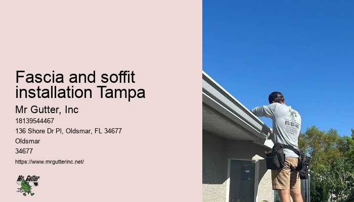 Fascia and soffit installation Tampa leaf guard gutter installation