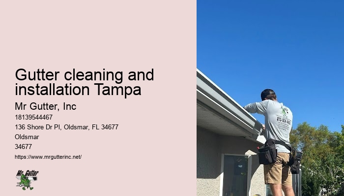 Gutter cleaning and installation Tampa gutter inspection