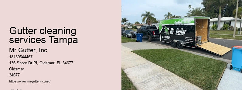 Top gutter installation contractors Gutter cleaning services Tampa